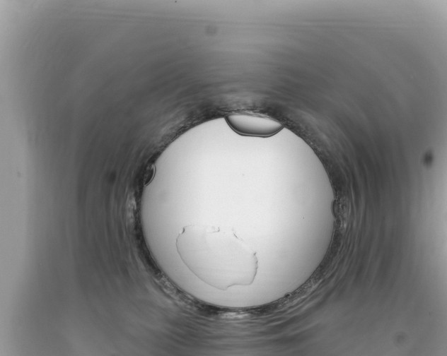 X0000094190279200710261001