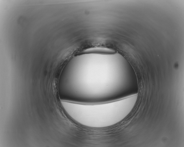X0000094190280200710261001