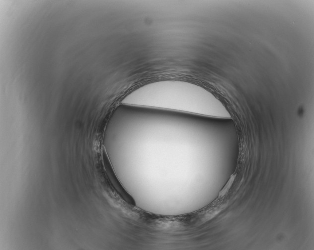 X0000094190284200710261001
