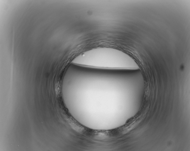 X0000094190285200710261001