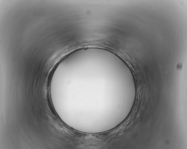 X0000094190290200710261001