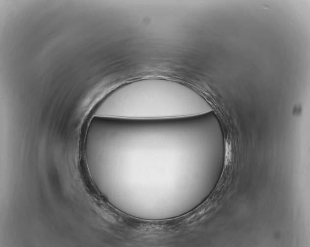 X0000094190291200710261001