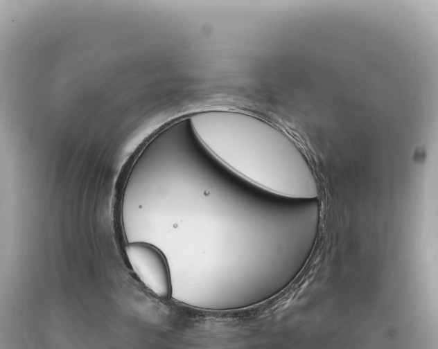 X0000094190292200710261001