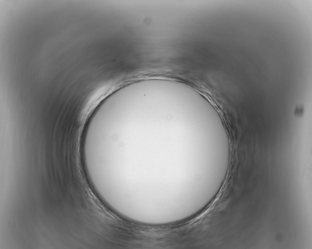 X0000094190293200710261001