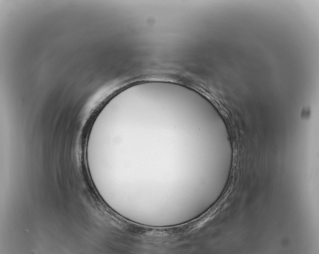 X0000094190294200710261001