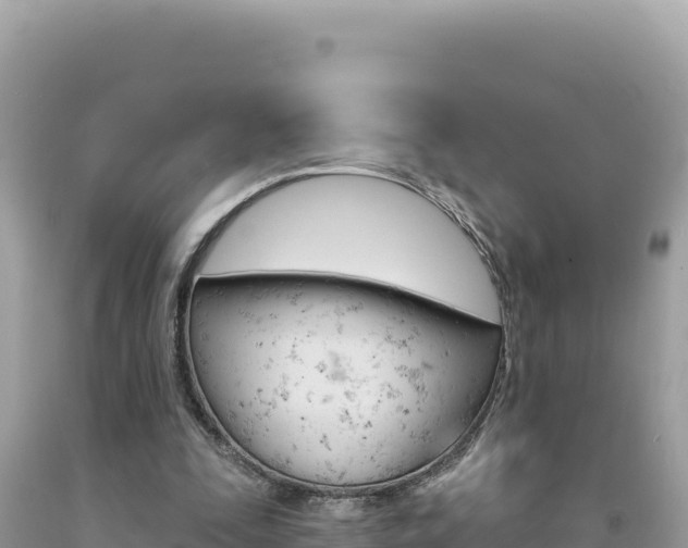 X0000094190295200710261001