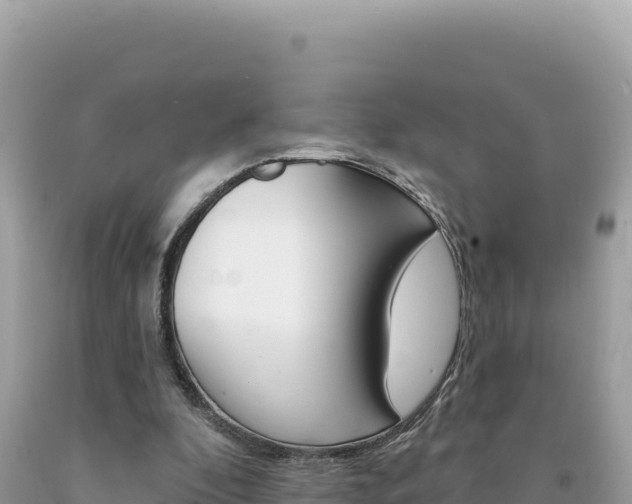 X0000094190296200710261000