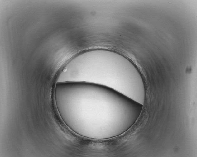 X0000094190299200710261000
