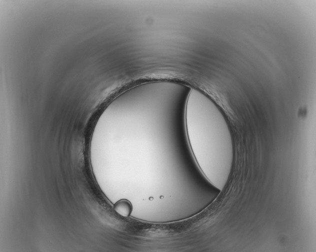 X0000094190300200710261000