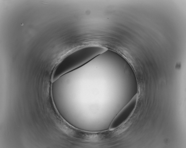 X0000094190301200710261000