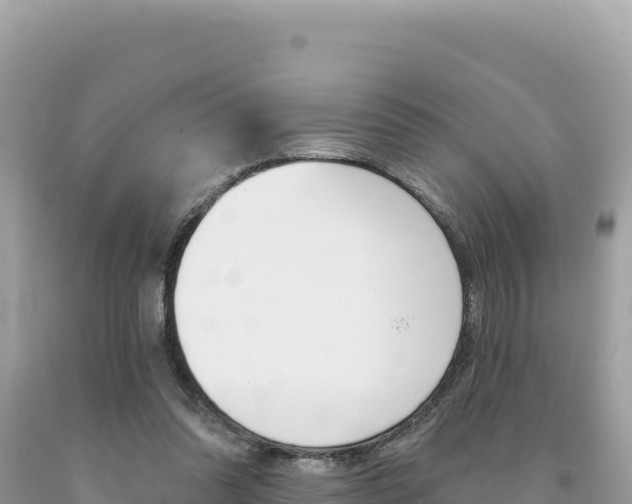 X0000094190302200710261000