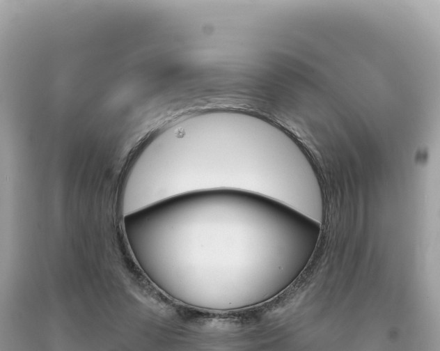 X0000094190303200710261000