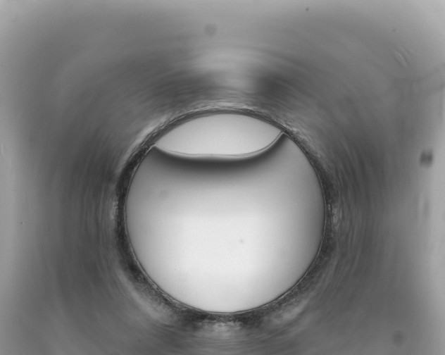 X0000094190304200710261000