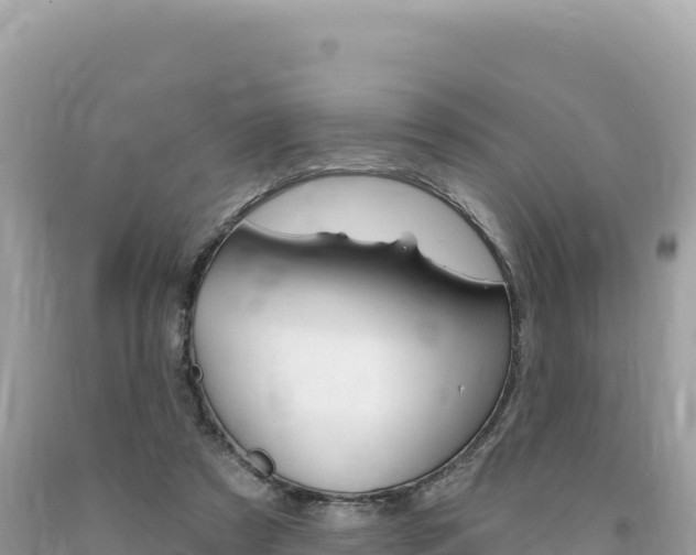 X0000094190305200710261000