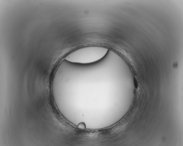 X0000094190306200710261000