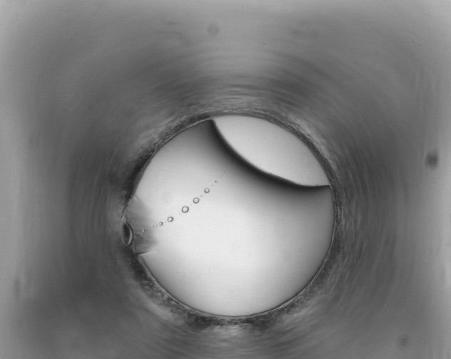 X0000094190307200710261000