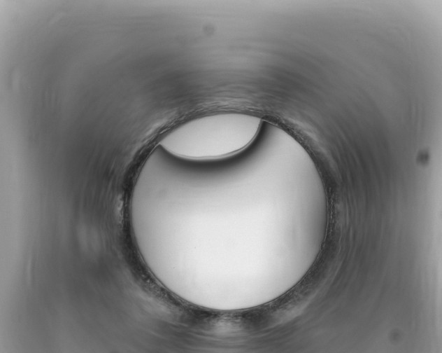 X0000094190308200710261000