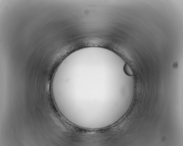 X0000094190310200710261000