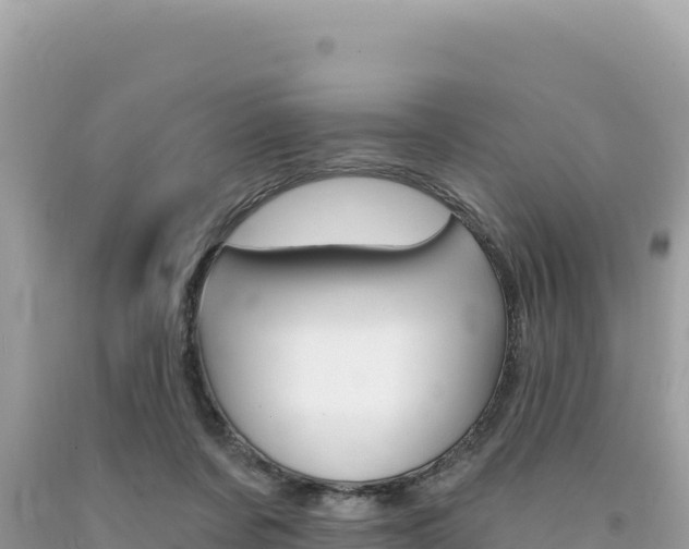 X0000094190311200710261000