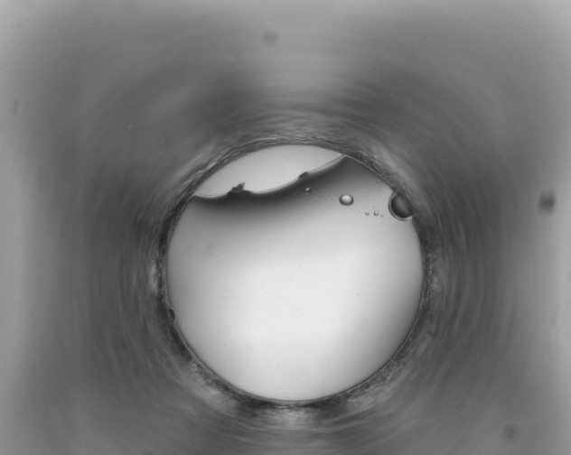 X0000094190313200710261000