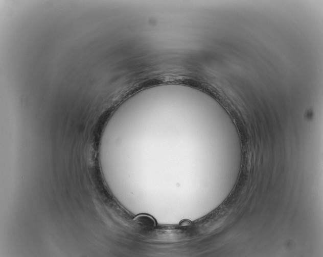 X0000094190316200710261000