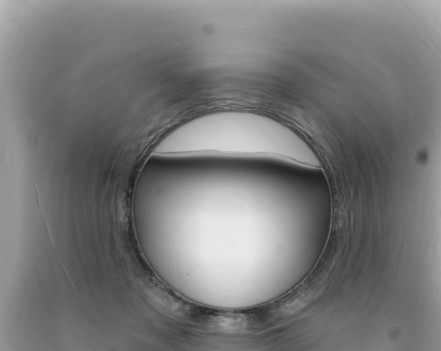 X0000094190317200710261000