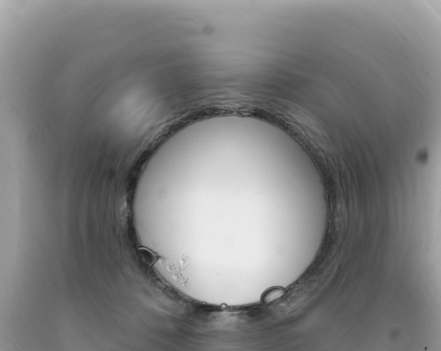 X0000094190320200710261000