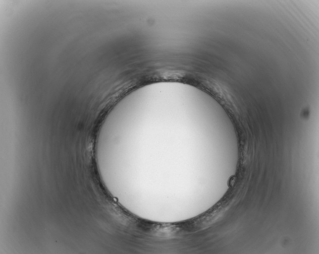 X0000094190321200710261000