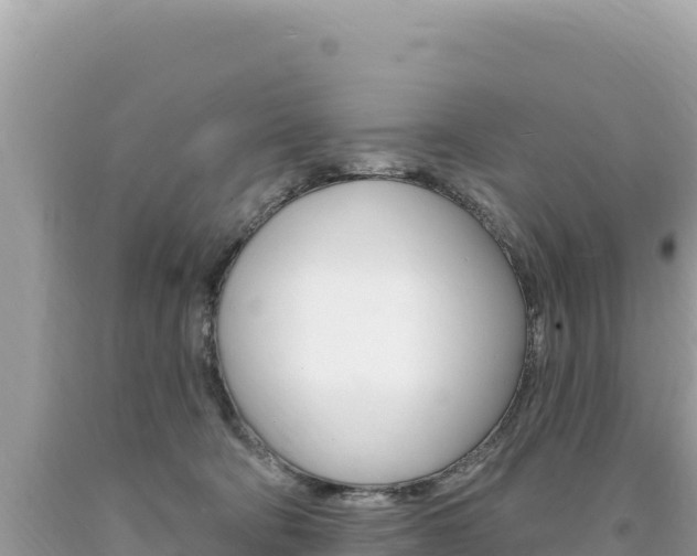 X0000094190322200710261000