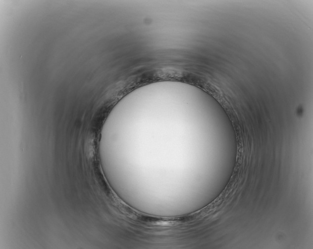 X0000094190323200710261000