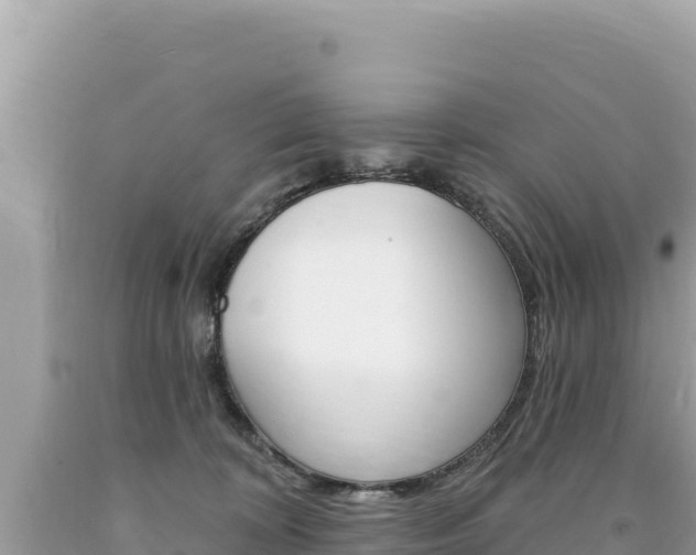 X0000094190324200710261000