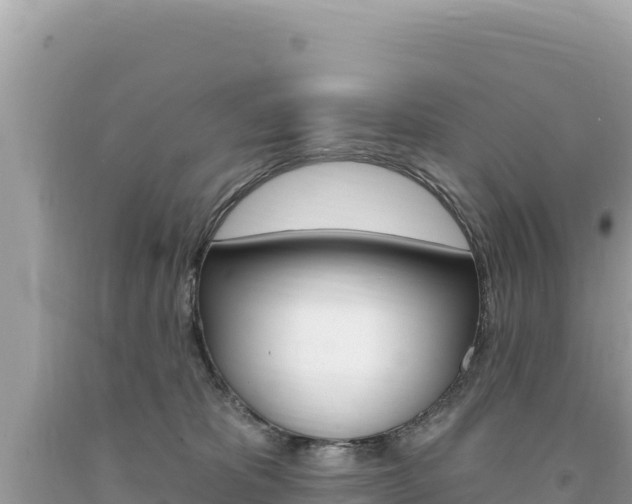 X0000094190325200710261000