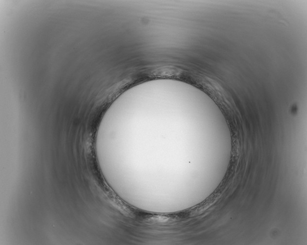 X0000094190326200710261000