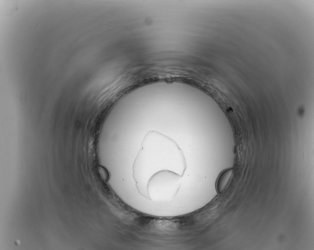 X0000094190327200710261000