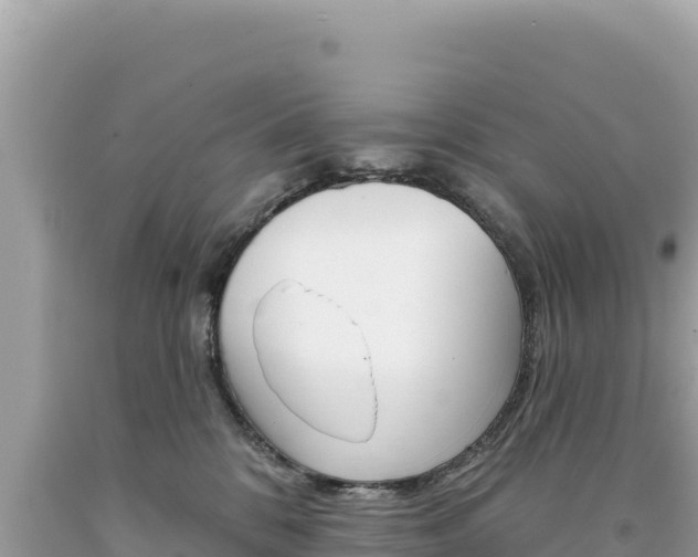 X0000094190328200710261000