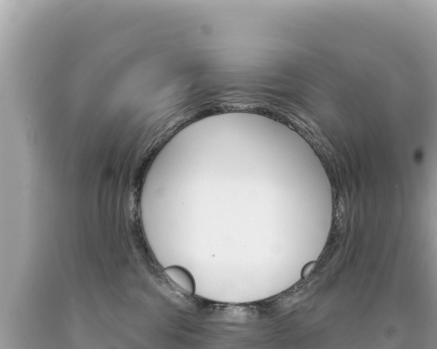 X0000094190330200710261000