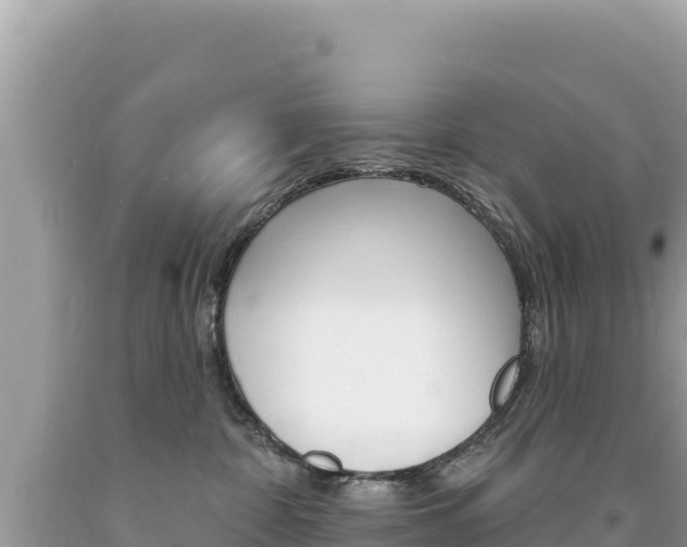 X0000094190332200710261000