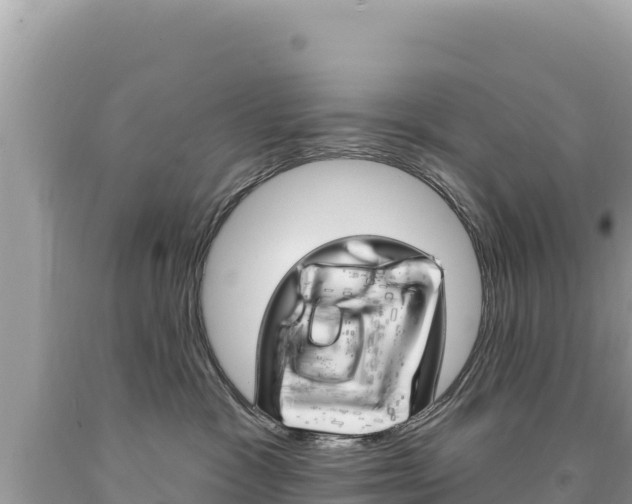 X0000094190333200710261000