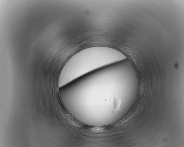 X0000094190335200710261000