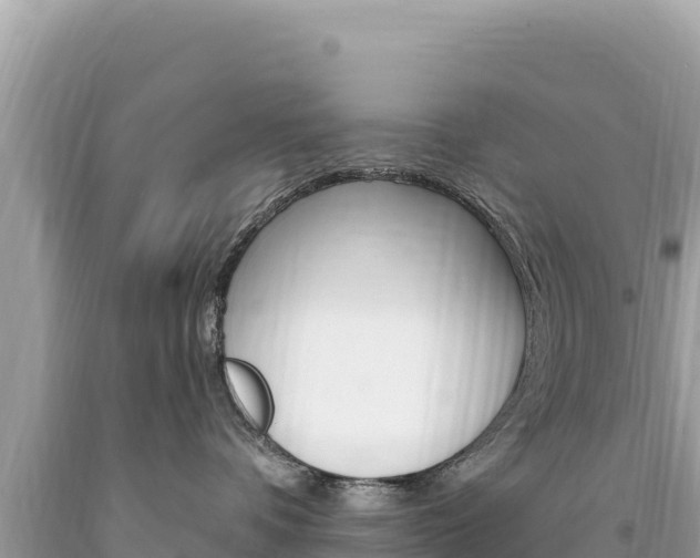 X0000094190336200710261000