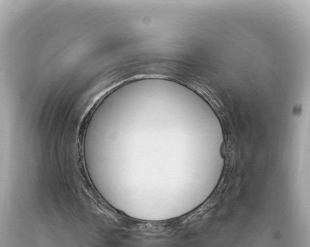 X0000094190338200710260959