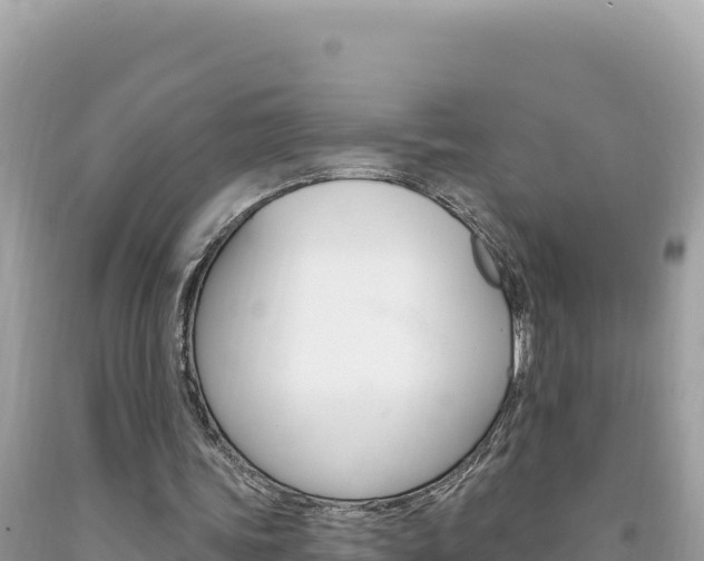 X0000094190339200710260959