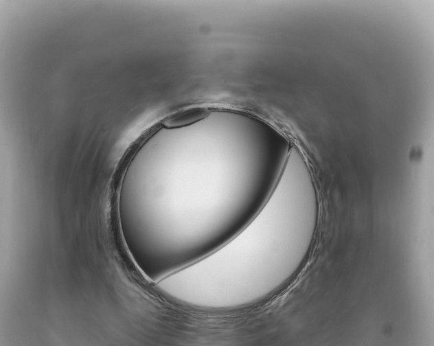X0000094190344200710260959