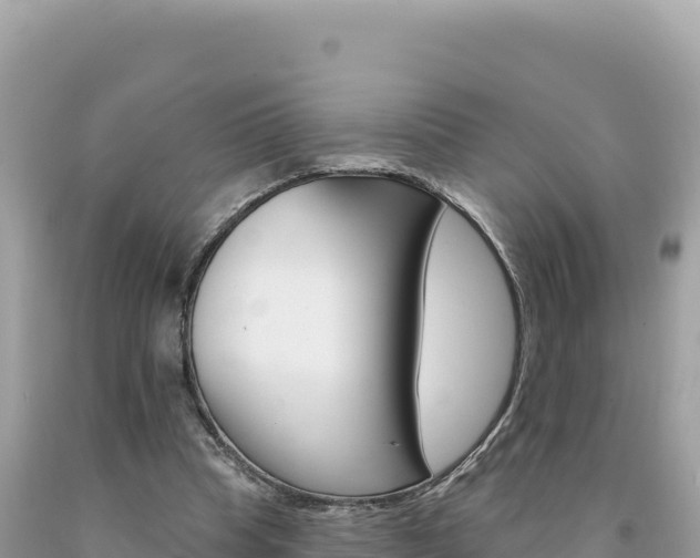X0000094190345200710260959