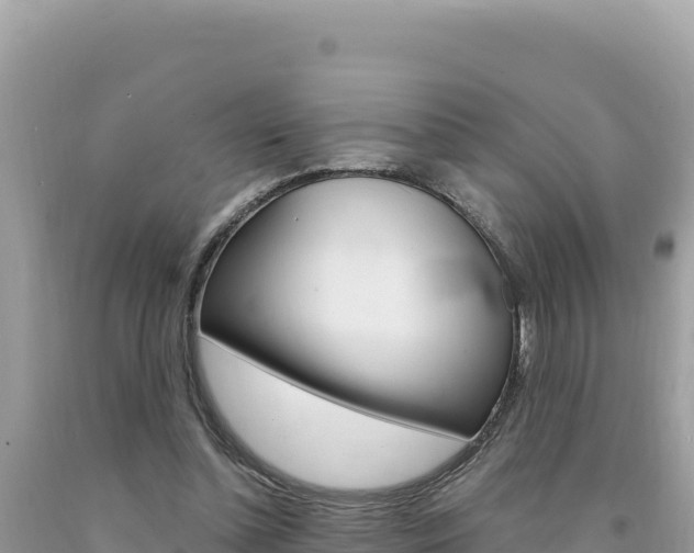 X0000094190348200710260959