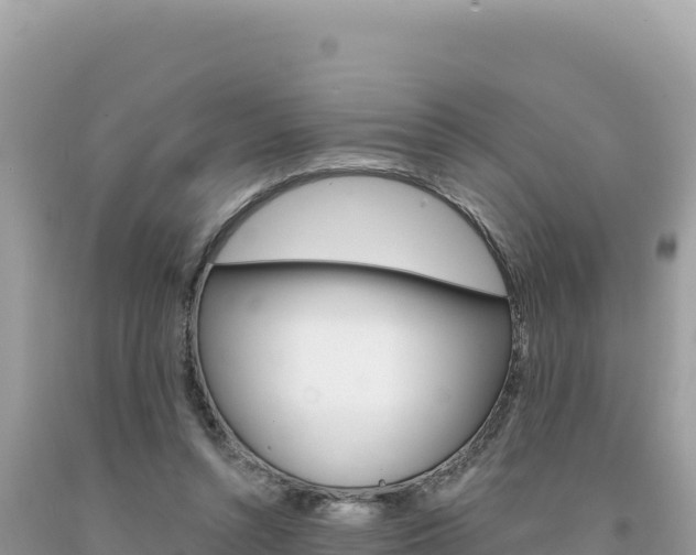 X0000094190352200710260959