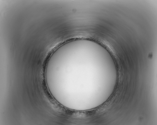 X0000094190354200710260959