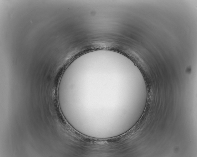X0000094190355200710261000