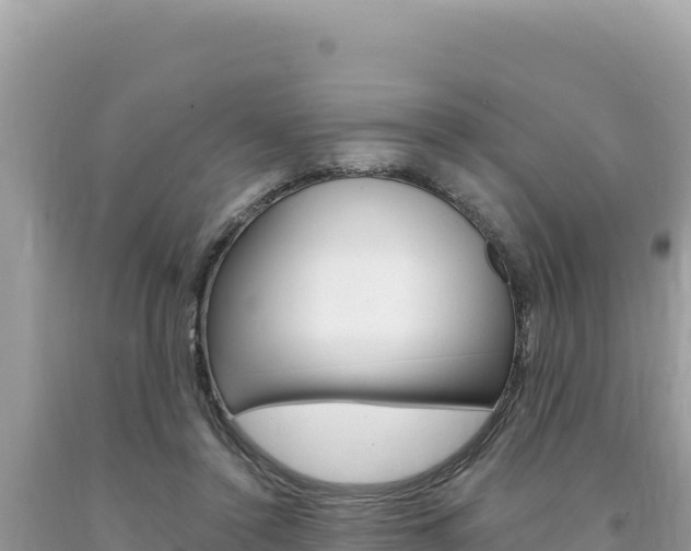 X0000094190356200710261000