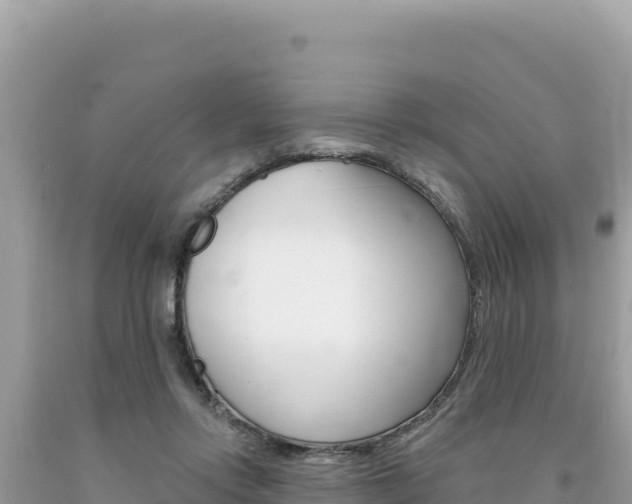 X0000094190358200710261000